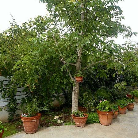 Sunny Garden Studio Hotel Nicosia Esterno foto
