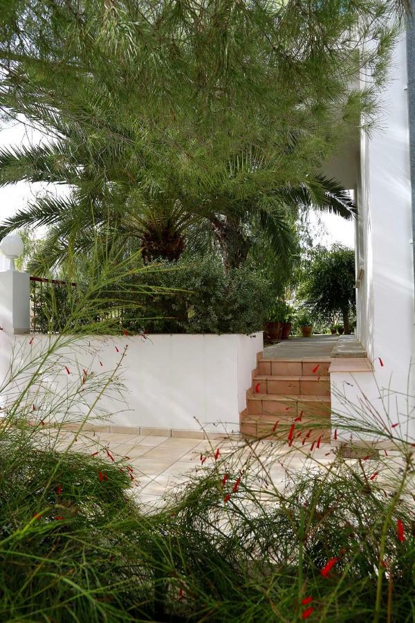 Sunny Garden Studio Hotel Nicosia Esterno foto