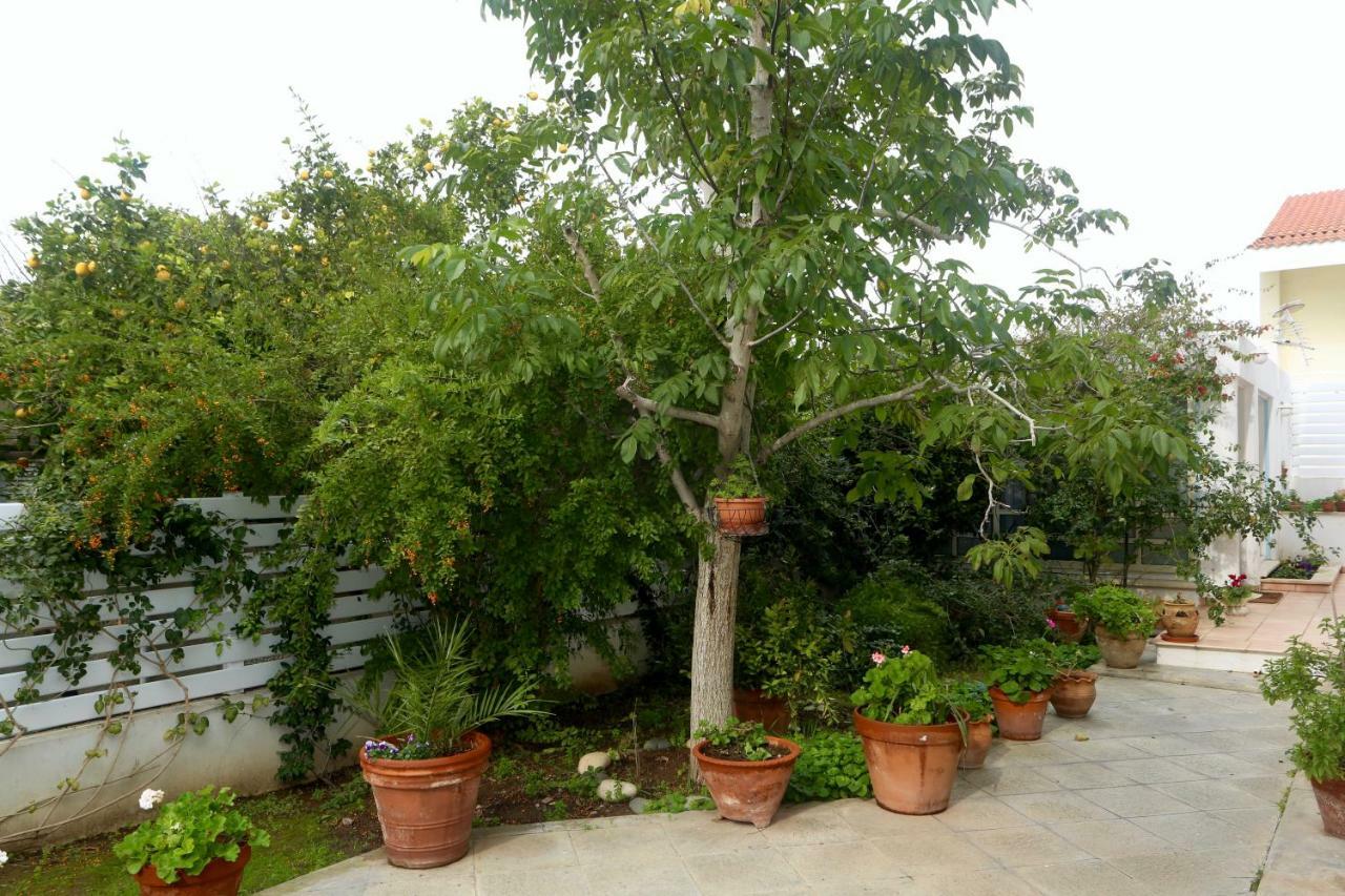 Sunny Garden Studio Hotel Nicosia Esterno foto