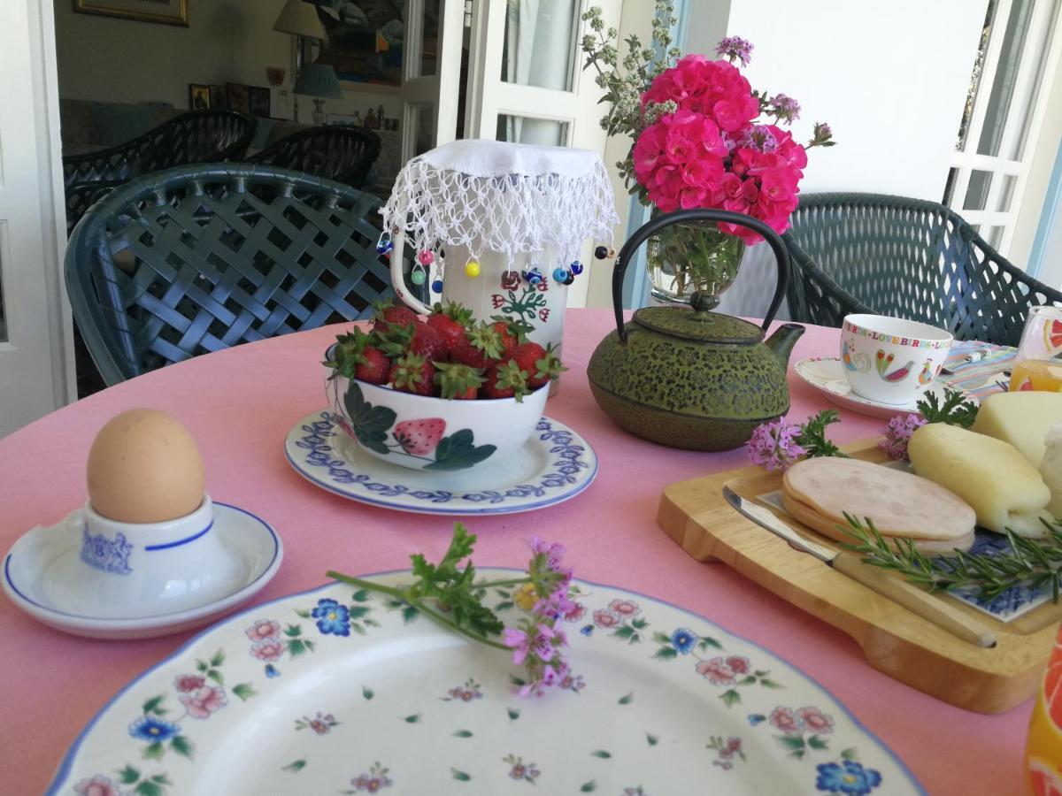 Sunny Garden Studio Hotel Nicosia Esterno foto